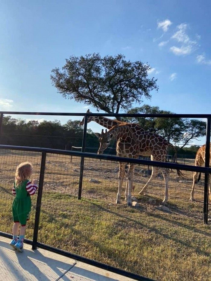 Behind the scene look at san antonio safari